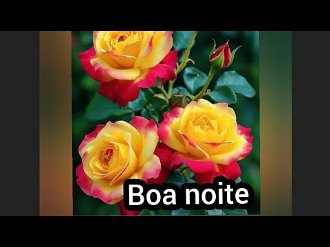 Mensagem de boa noite 😘