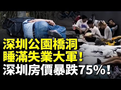深圳撐不下去了！公園、橋洞睡滿失業大軍！深圳房價暴跌75　#看大陸 #睇大陸