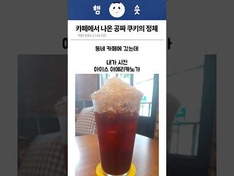 카페에서 나온 꽁짜 쿠키의 정체