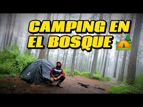 ACAMPANDO en el BOSQUE de un VOLCÁN con @Sandiario-official 🏕️