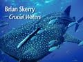 Marine Conservation and Threats Assessment