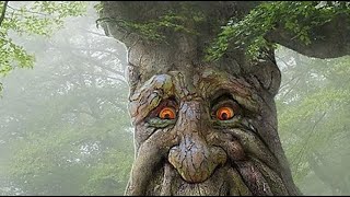 funny Cartoon Video,Youtube live cartoon