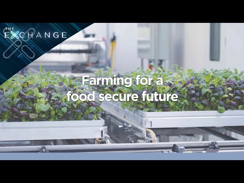 YouTube video thumbnail: Farming the Future to Enhance Food Supply and Create Solutions