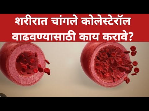 शरीरात चांगले कोलेस्टेरॉल वाढवण्यासाठी काय करावे ?