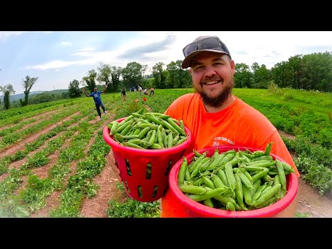 Our harvest keeps growing