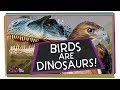 Dinosaurs and Their Avian Descendants