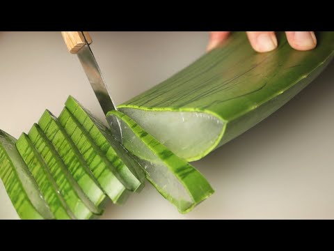 YOU will Sleep to this Aloe ASMR video 💚 대한민국 수면 영상 1위 무.조.건.알로에입니다..