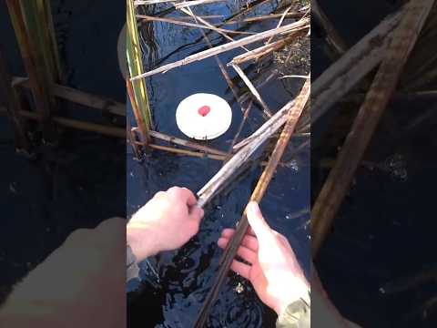 ПОКЛЁВКА НА МИЛЛИОН!!!)ЛЕСКА ТРЕЩИТ В РУКАХ))) #кружки #щука #fishing #рыбалка