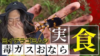 カエルの気持ちを知るがいい！屁っぴり虫を食べたら高熱の毒ガスが口腔内で爆発した【ミイデラゴミムシ】