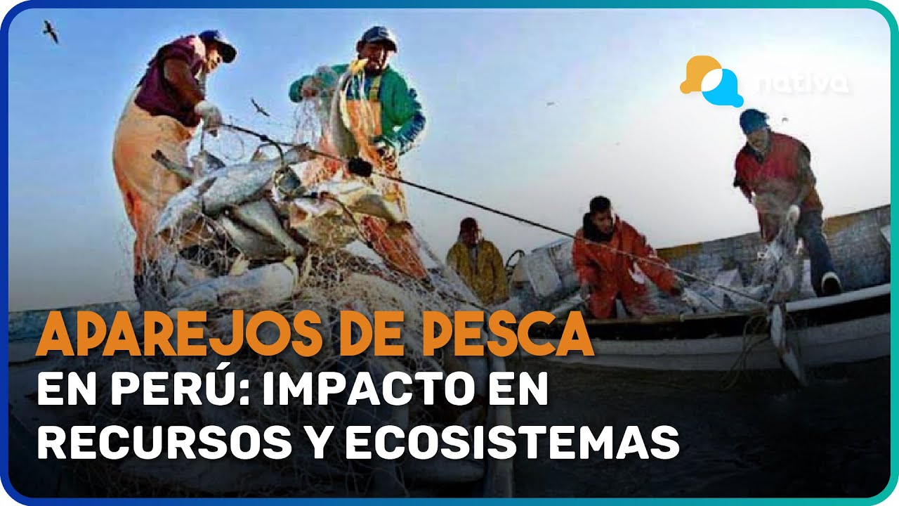 Pescadores en el mar