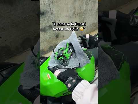 Aspetta di vedere il fumo…😳💨 #moto #motorider #kawasakininja