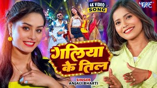 #Video || #Anjali Bharti || गलिया के तिल || Galiya Ke Til || New #Magahi Song 2025