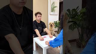 【旺仔很忙🐶wangzai is busy】狗子总爱放屁臭我，给他做个屁味净化器He always farts and stinks me, make him a fart odor purifier