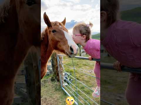 Love saves #animals #horse #love