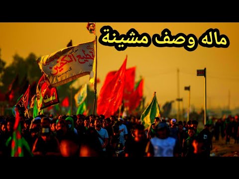 ماله وصف مشينه كربلاء تحدي بينه -- علاء التميمي قصيدة المشاية 2021