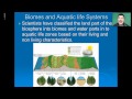 Ecology Concepts and Interactions