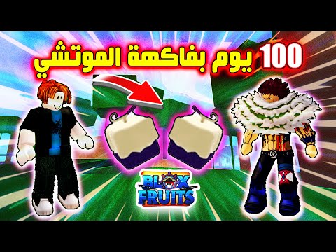 بلوكس فروت 100 يوم بفاكهة الموتشي 🔥😁 روبلوكس بلوكس فروت Roblox Blox Fruits