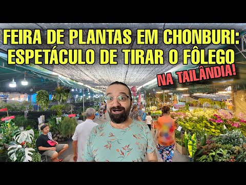 EM BUSCA DE PLANTAS RARAS - Um Botânico SURTANDO na Tailândia