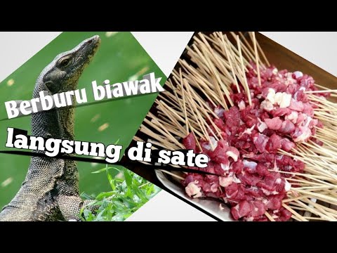 BERBURU DAN MEMASAK SATE BIAWAK