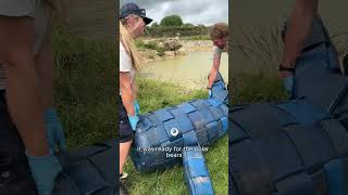 Polar Bears play with DIY whale