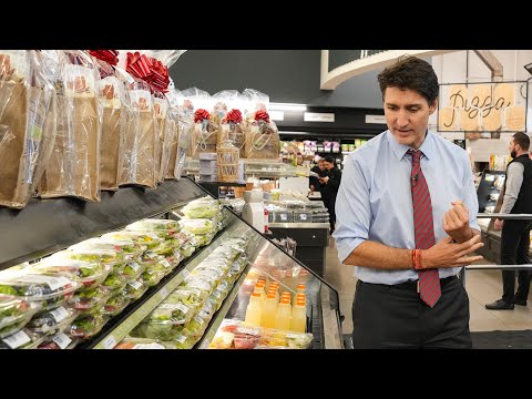 PM Trudeau proposes two-month GST holiday, rebate