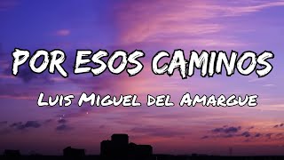 Luis Miguel del Amargue - Por Esos Caminos (Letras)