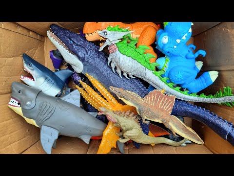 All Kaiju Monster: Godzilla, Megalodon, Kong, Colossal Mosasaurus, Shark, Dinosaur T-Rex