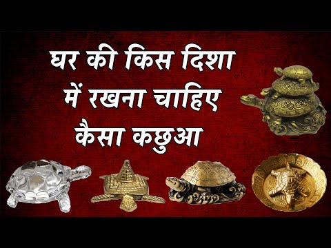 घर की किस दिशा में रखना चाहिए किस प्रकार का कछुआ | Vastu Tips for Tortoise