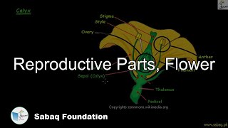 Reproductive Parts, Flower