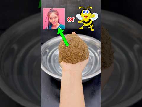 MINA 👩🏻 or BEE 🐝 #shorts #viralvideo #shortsvideo