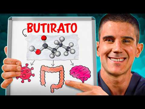 BUTIRATO: impactantes CAMBIOS en tu INTESTINO y CEREBRO en POCOS DÍAS