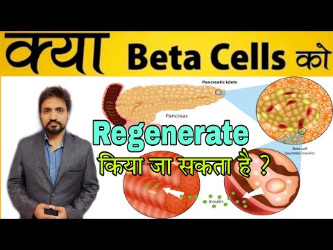 Can Beta Cells be Regenerated | क्या बीटा कोशिकाओं को पुन: उत्पन्न करना संभव है@SamadhanDoctor