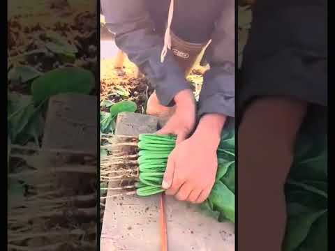 #agricultural #agriculture #farming #agro #farmlife #agricoltura  #technology #farm #food #diy
