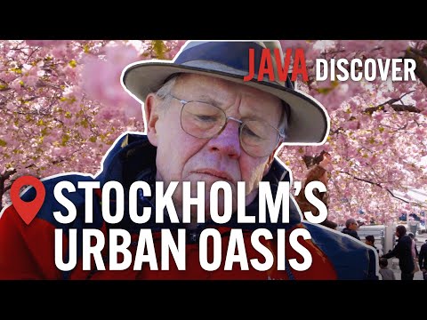 The Best of Stockholm: Royal National City Park | Documentary