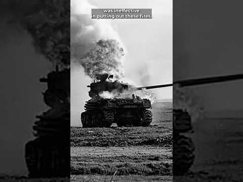 Wet Ammunition Storage in this M4A2 Sherman Tank  #militaryequipment #history #ww2