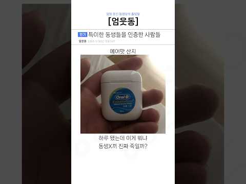 특이한 동생을 인증한 사람들ㅋㅋ