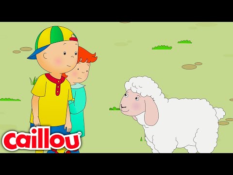 Caillou et l'abeille | Caillou Français - WildBrain | Apprentissage pour les enfants