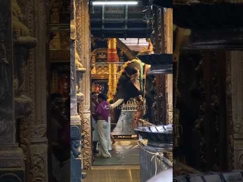 കണ്ണന്റെ പ്രഭാത ശീവേലി  #shiveli #viralvideo #viralshort #trendingshorts #popularshorts