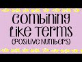 Combining Like Terms with Positive Numbers