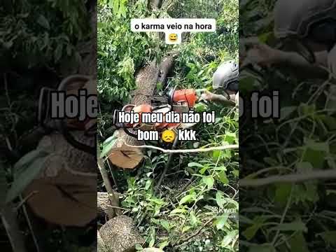 Lenhador profissional de motosserra tem um dia mau!! #automobile #chainsaw #viralvideo