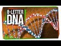 Hachimoji DNA: A New Frontier in Genetic Research