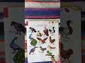 Birds and Matching Activities
