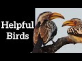 Mutual Relationships in Nature