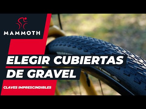 Cómo elegir cubiertas para tu bici Gravel: claves imprescindibles