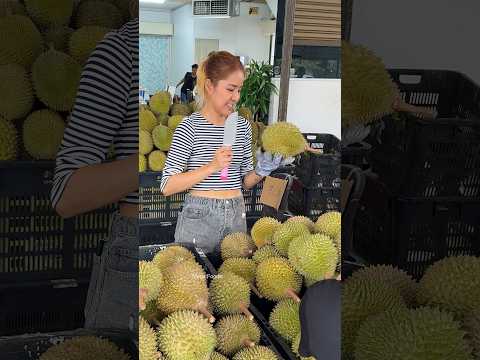 Must Try! Tropical Fruit Fresh Durian - Fruit Cutting Skills