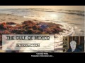 Gulf of Mexico Environmental Concepts
