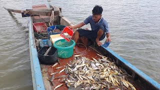 Bất ngờ trúng cá đi bầy sau cơn bão biển | Ngư Dân Miền Tây #215