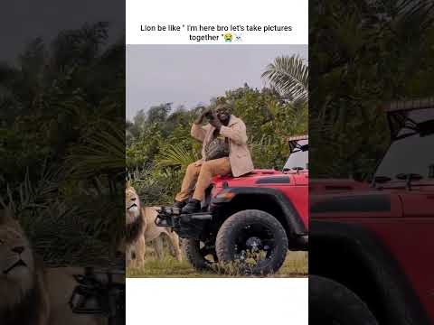 bro's in danger now 😭🤣 #trending #funny #funnyvideo #viral #memes #explore #love #animals