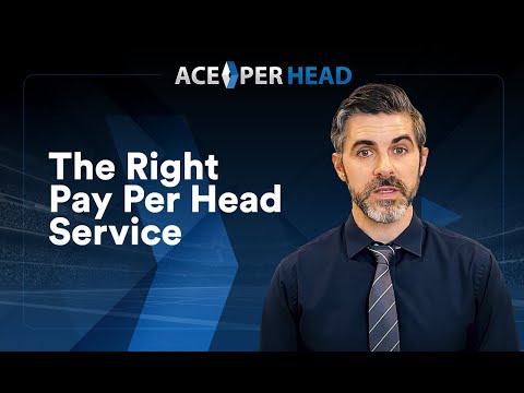 Pay Per Head: Which Service Is Right For You?