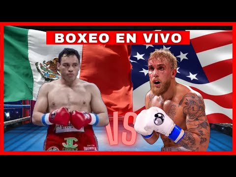 🥊🔥 JAKE PAUL le GANÓ la EXHIBICIÓN a JULIO CÉSAR CHÁVEZ JR y quedó a UN PASO de PELEAR por TITULOS